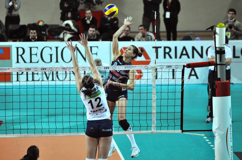 Asystel NO Muszynianka (63)